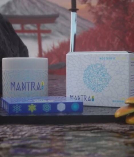 Mushroom nootropic Gummies