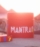 mantra serenity gummies