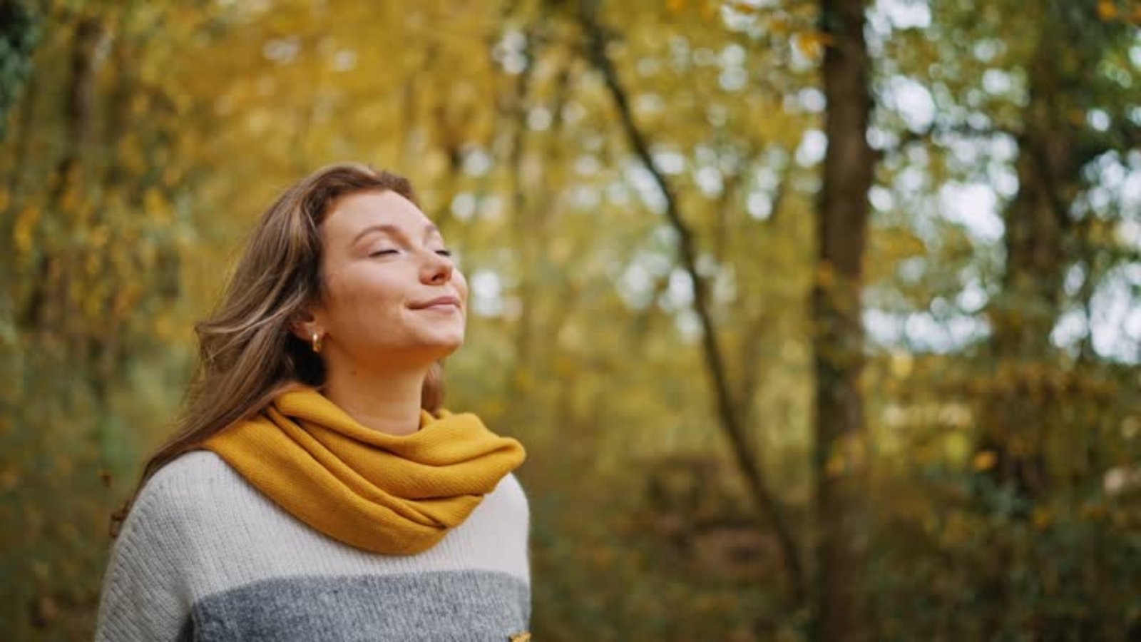 Mushrooms in Mental Health